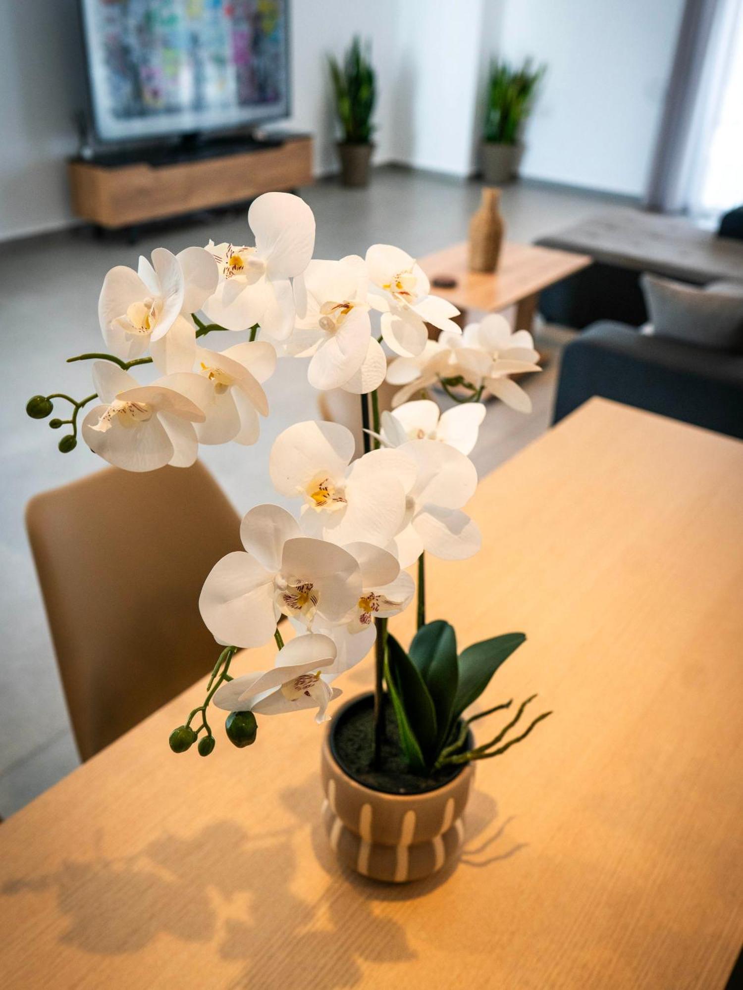 White Luxury Apartment Трикала Экстерьер фото